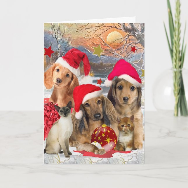 Dachshund Joyeux Noël Cartes (Devant)