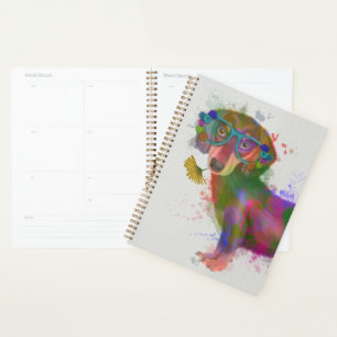 Dachshund & Lunettes Rainbow Splash