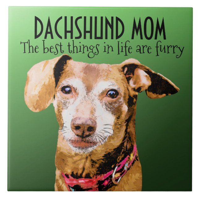 Dachshund Maman Carreaux céramiques (Devant)