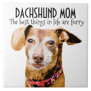 Dachshund Maman Carreaux céramiques