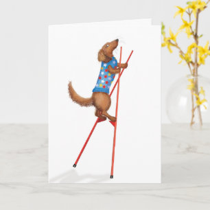 Dachshund mignon marchant sur carte sur pilotis