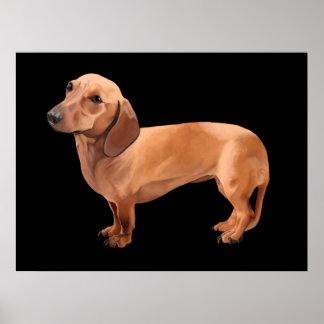 Dachshund par Stephen Renn Impression encadrée