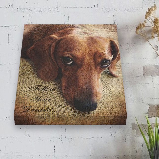 Dachshund Portrait Toile (Créateur téléchargé)