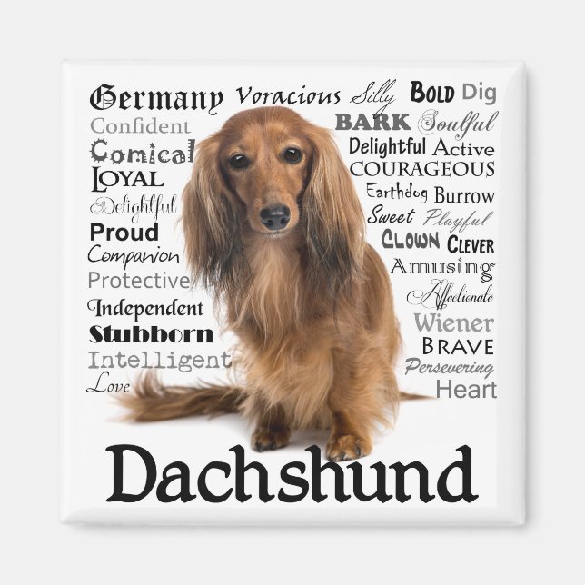 Dachshund Traits Magnet (Devant)