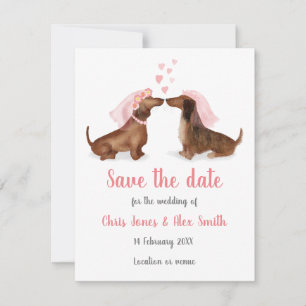 Dachshunds in love enregistrer la carte de date (f
