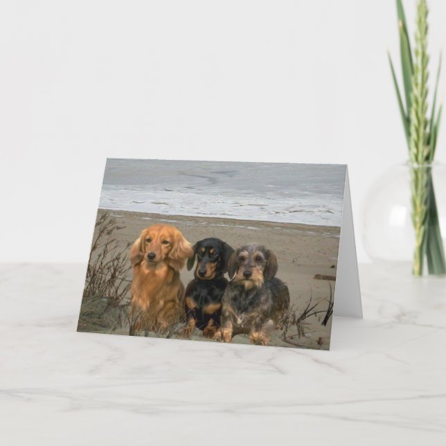 Dachshunds Sur La Carte De Plage (Devant)