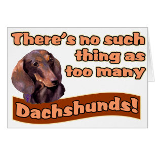 DACHSHUNES
