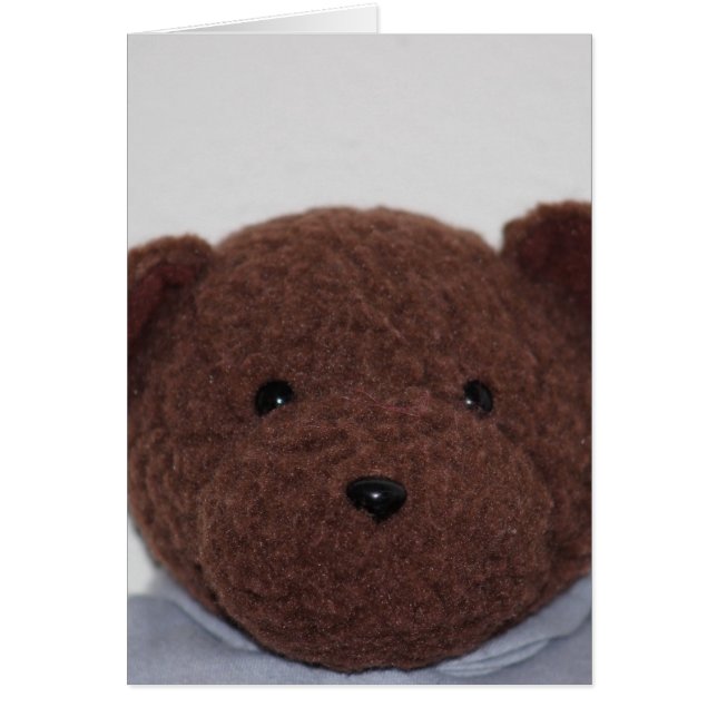 Daddy Teddy Bear (Devant)