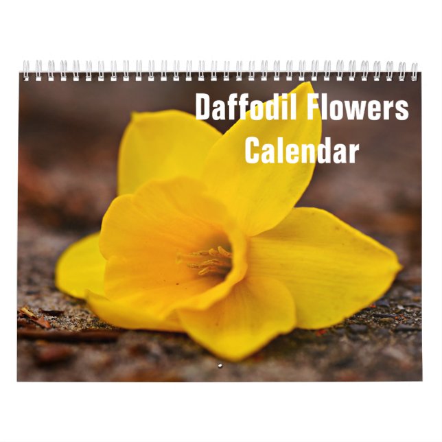 Daffodil Flowers 2025 Calendrier (Protection)