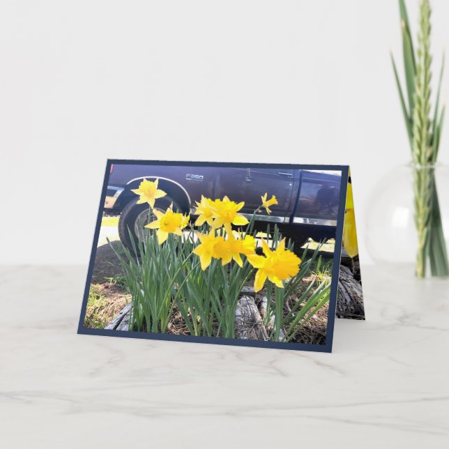 Daffodil par ma vieille carte de voeux camion, gra (Devant)