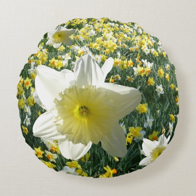 Daffodiles Fleurs de printemps Coussin de champ ro (Devant)