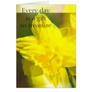Daffodiles jaunes Abstraits