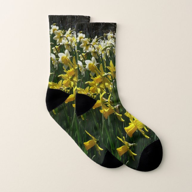 Daffodiles jaunes et blancs Fleurs de printemps (Paire)