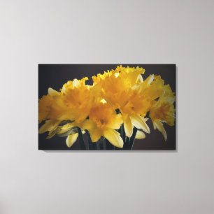 Daffodils Toile Fleur Art Photographique