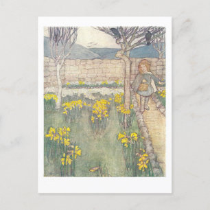 Daffodils Vintage Illustration Carte postale