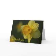 Daffodique Carte de remerciements