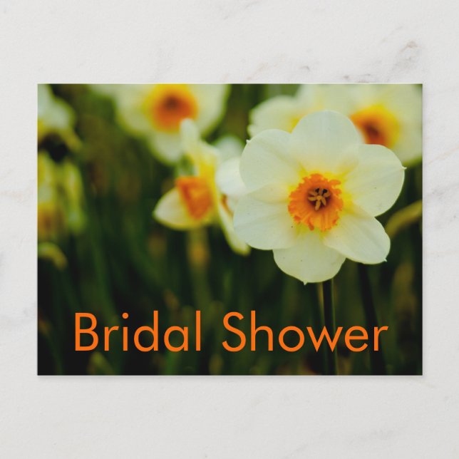 Daffodique ・ Carte postale Invitation de douche nu (Devant)