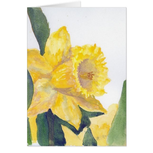 Daffodique jaune (Devant)