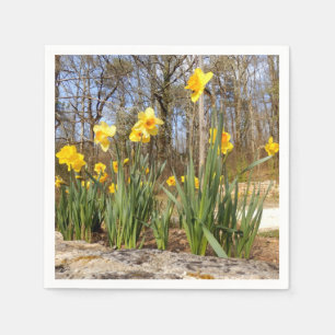 Daffodiques aux serviettes en papier de Pâques