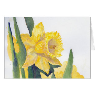 Daffodiques de printemps