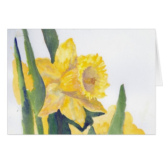 Daffodiques de printemps (Devant horizontal)