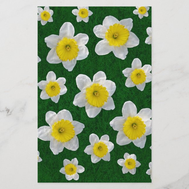 Daffodiques de printemps (Devant)