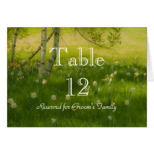 Daffodiques de printemps