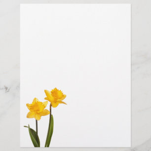 Daffodiques jaunes sur blanc - Lavette de jonquill