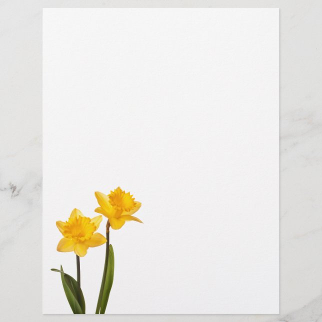 Daffodiques jaunes sur blanc - Lavette de jonquill (Devant)