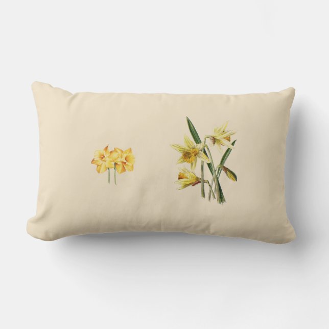 Daffodiques jettent oreiller (Recto)
