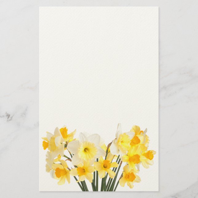 Daffodiques Papeterie (Devant)