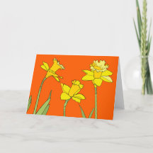 Daffodiques sur orange