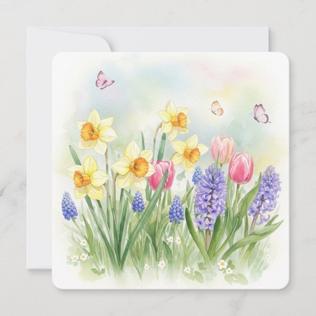 Daffodiques, Tulipes, Hyacinthes, Carte Papillons (Devant)