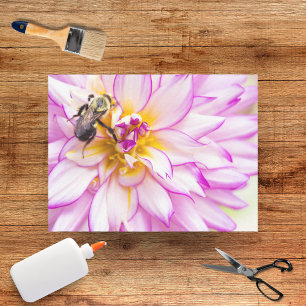Dahlia blanc et rose avec papier de soie abeille b