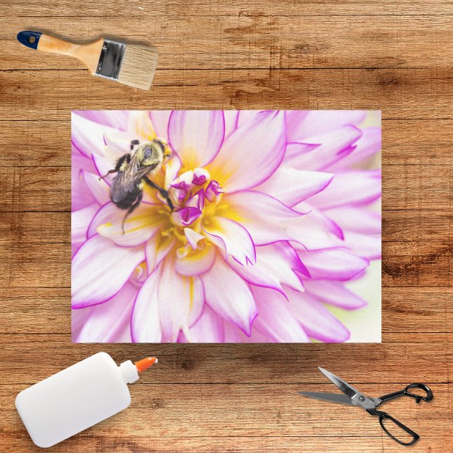 Dahlia blanc et rose avec papier de soie abeille b (Créateur téléchargé)