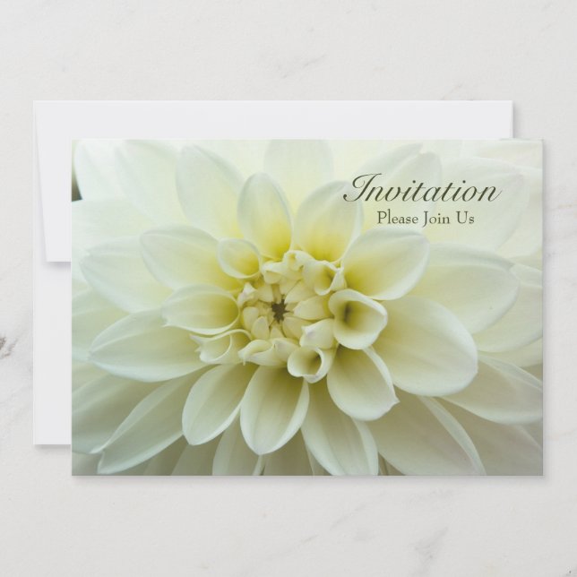 Dahlia Blanche ・ Invitation au dîner de répétition (Devant)