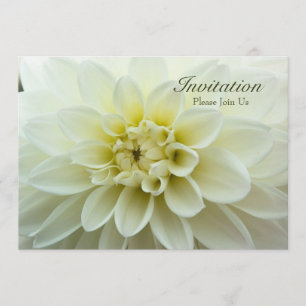 Dahlia Blanche ・ Invitation au dîner de répétition