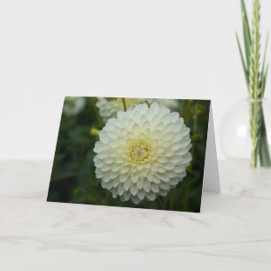 Dahlia Greeting   Carte de voeux Dahlie