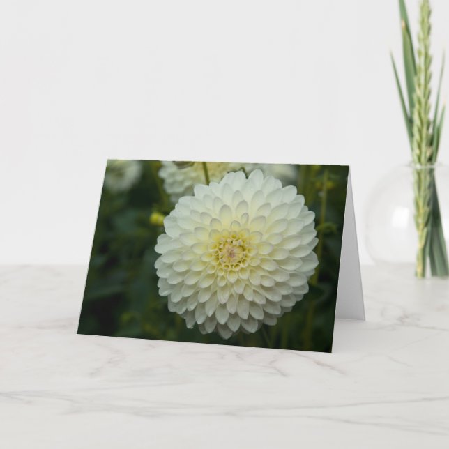 Dahlia Greeting | Carte de voeux Dahlie (Devant)