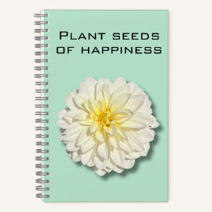 Dahlia Plante semences du Carnet du bonheur
