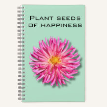 Dahlia Plante semences du Carnet du bonheur
