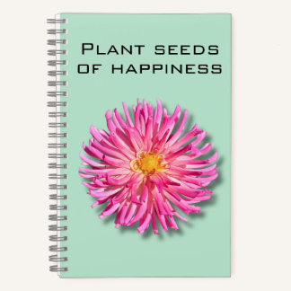 Dahlia Plante semences du Carnet du bonheur