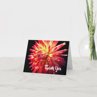 Dahlia rouge vibrant Fleur Merci