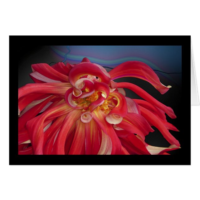 Dahlia rouge : www.GraceArtGroup.com (Devant horizontal)