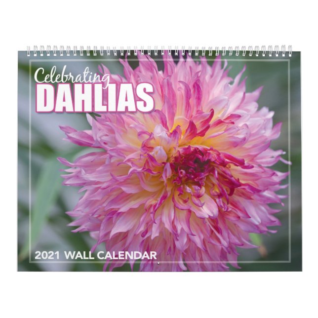 Dahlias 2021 : calendrier des murailles (Protection)