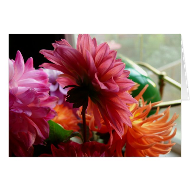 Dahlias (avec lampe) (Devant horizontal)
