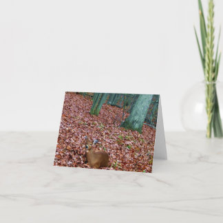 Daine de carte de note de région boisée un cerf