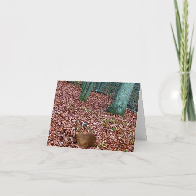 Daine de carte de note de région boisée un cerf (Devant)