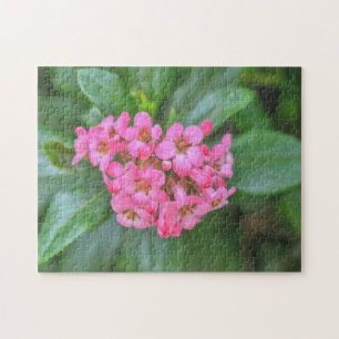 Dainty Fleurs Roses Jardin Puzzle Floral