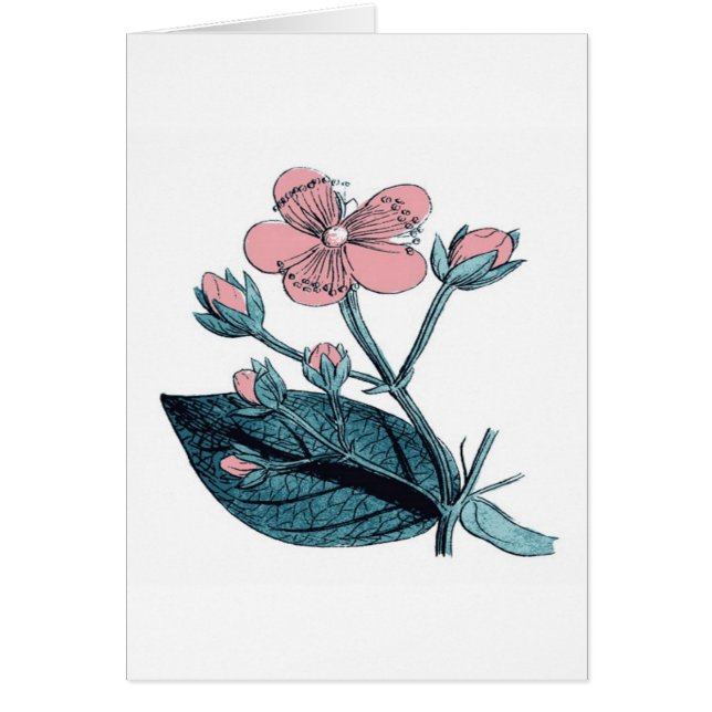 Dainty Rose Floral (Devant)